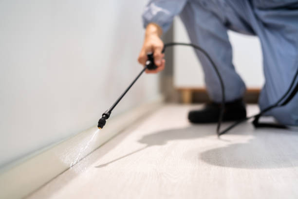 Rodent Entry Point Assessment in Gun Barrel City