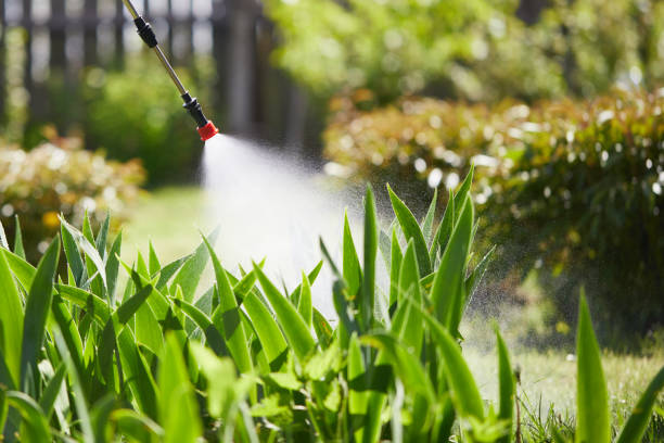 Tamper-Resistant Bait Stations for Rodents in Gun Barrel City