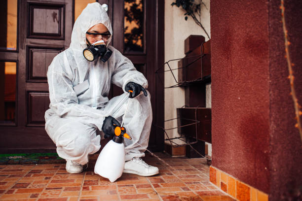 Attic and Crawl Space Rodent Treatment in Gun Barrel City