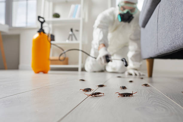 Commercial Rodent Management in Gun Barrel City
